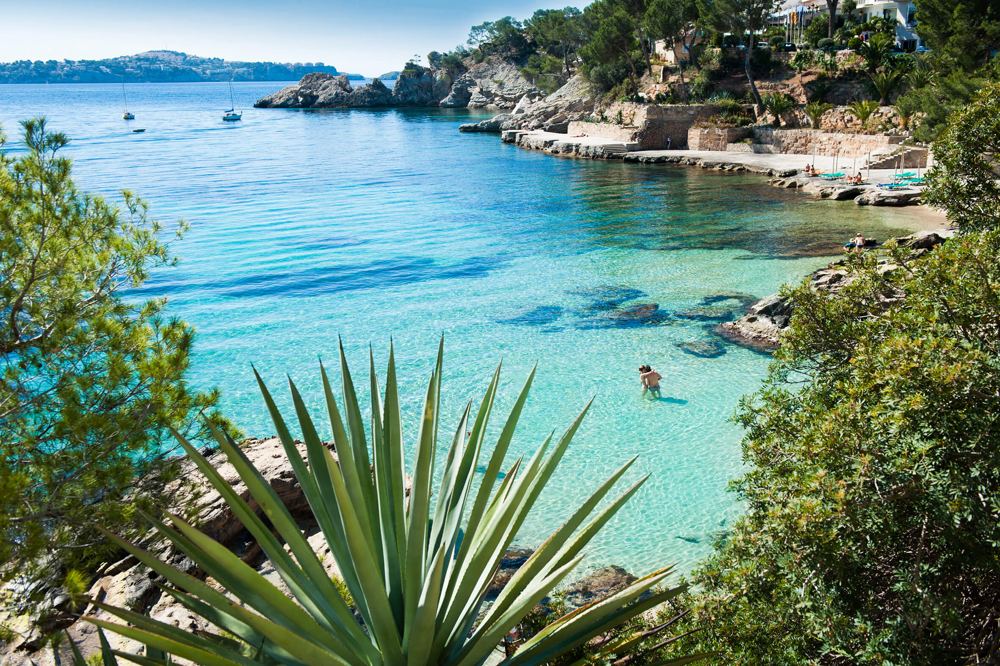 Cala Fornells, a clear cove with rocks and pine trees