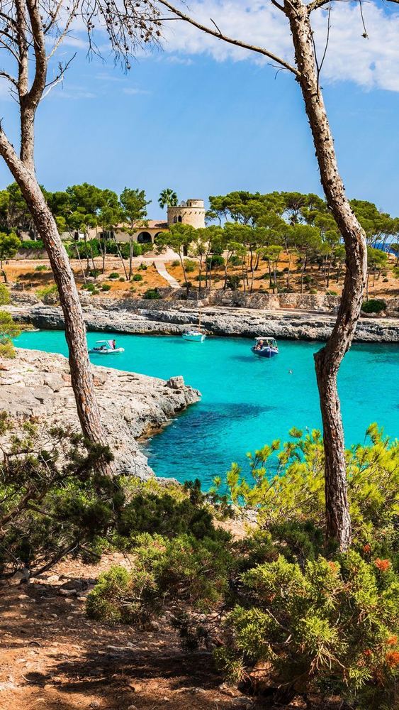 Turquoise water at Cala Mondragó framed by pine trees