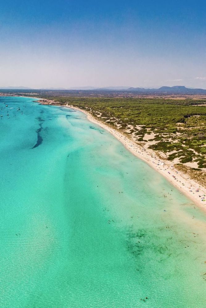 Aerial view of the long white-sand beach of Es Trenc