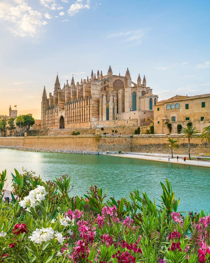 Palma Cathedral above the sea wall with flowers in front